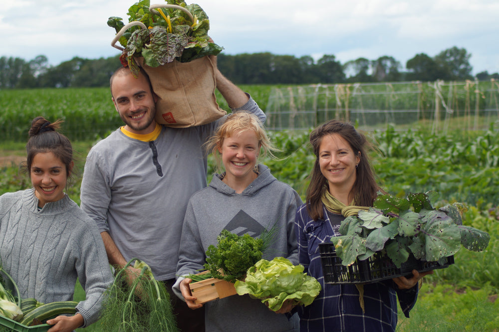 Werde Teil der Bin im Garten Community