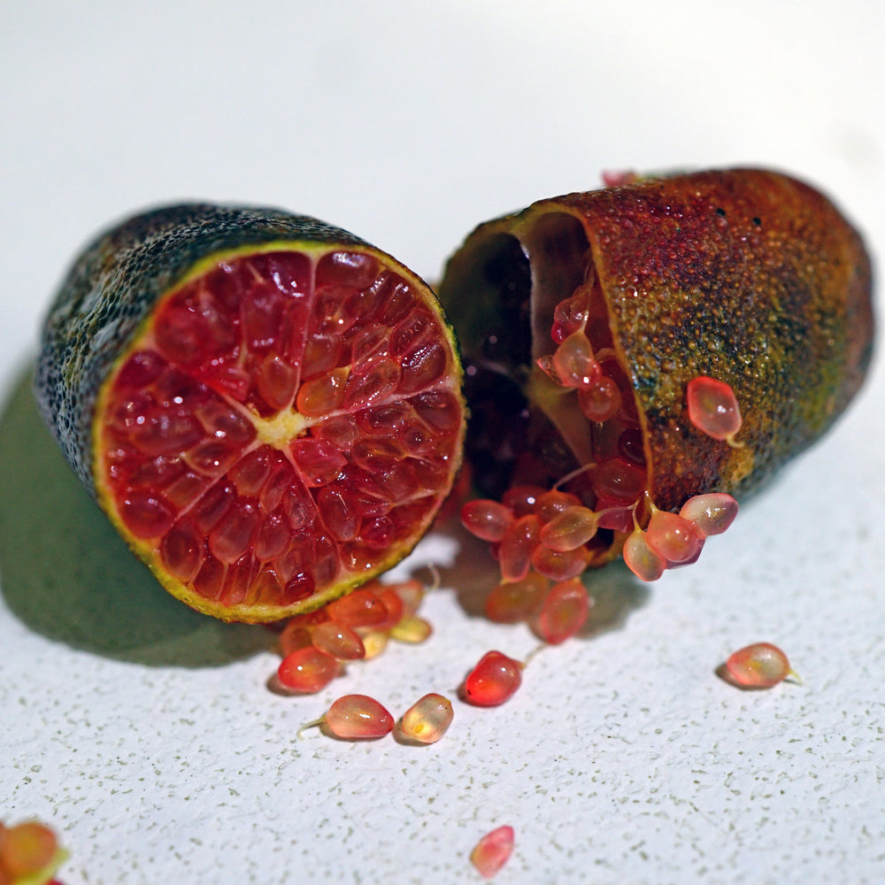 Bio Fingerlimes - Finca Jelanisoli