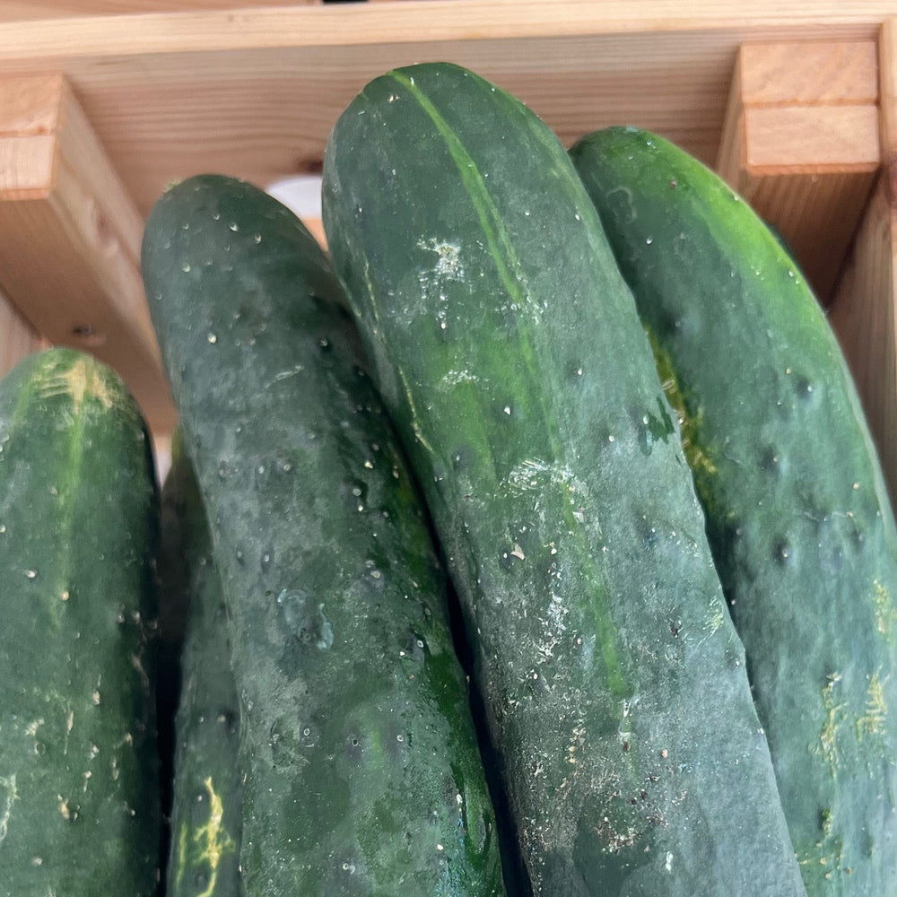 Bio Landgurke
